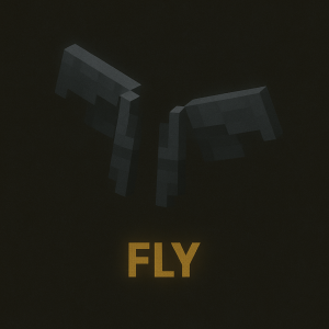 FLY